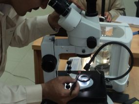 Gem Identification Labs